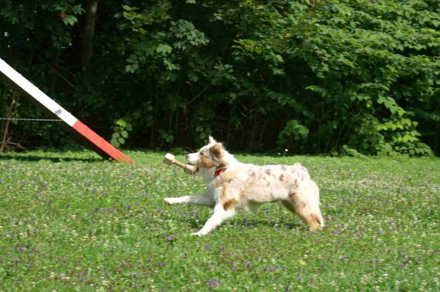 obeissance 2014-08-02